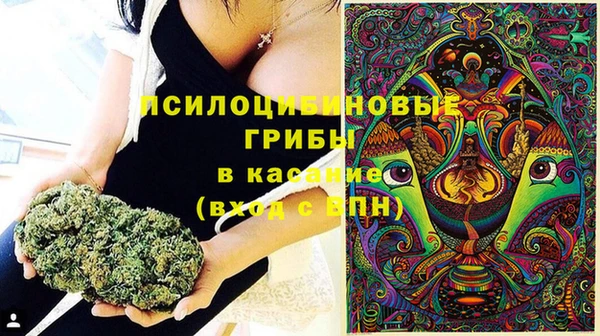 кокс Алексеевка
