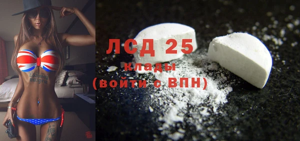 прущие грибы Алексин